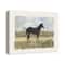 Vintage Horse Portrait 20" x 16" Canvas Wall Art